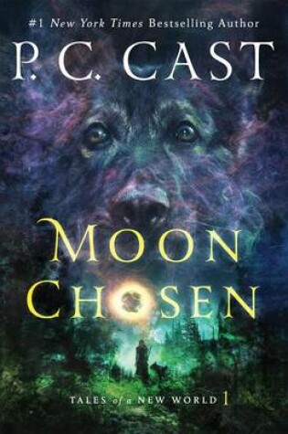 Cover of Moon Chosen