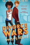 Book cover for Divorce Wars