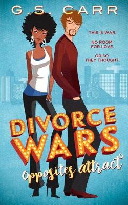 Book cover for Divorce Wars