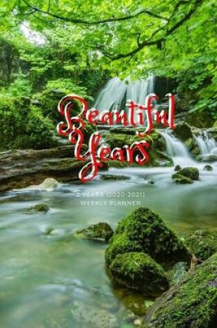 Cover of Beautiful Years