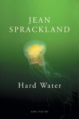 Book cover for Hard Water