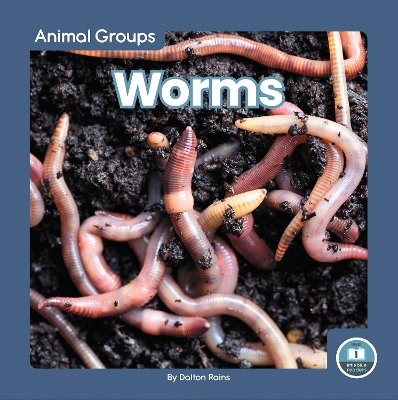 Book cover for Worms