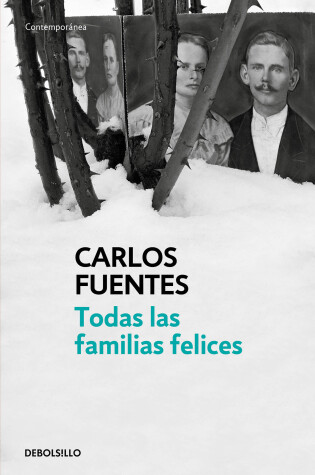 Cover of Todas las familias felices / Happy Families
