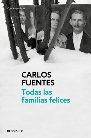 Book cover for Todas las familias felices / Happy Families