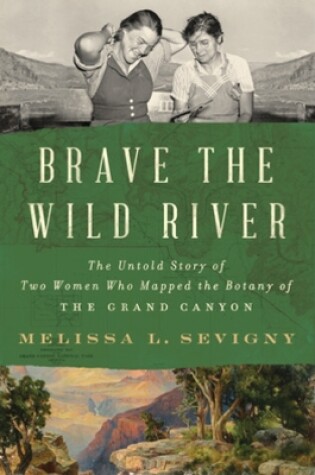 Cover of Brave the Wild River