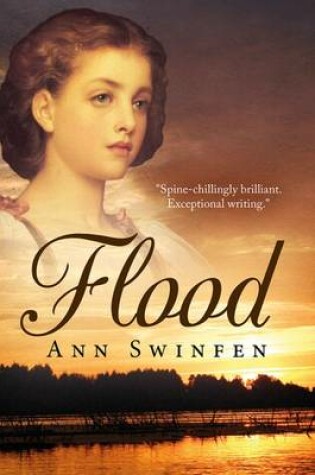 Cover of Flood