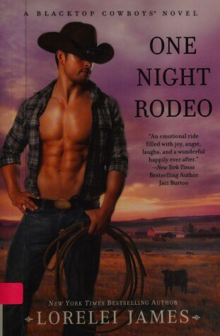 Book cover for One Night Rodeo