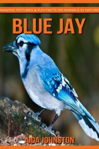 Cover of Blue Jay