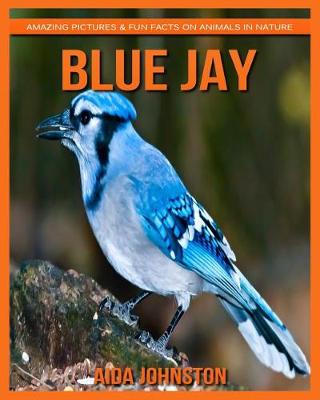 Book cover for Blue Jay