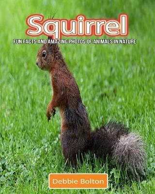Book cover for Squirrel
