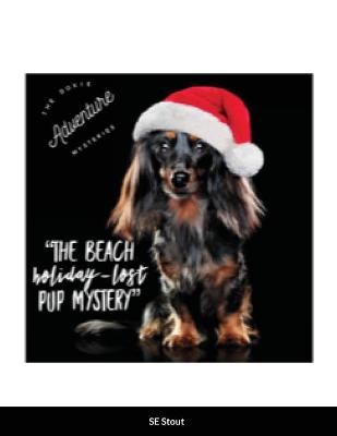 Book cover for The Doxie Adventure Mysteries The Beach Holiday-Lost Pup Mystery