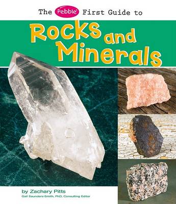 Cover of Rocks and Minerals