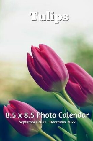 Cover of Tulips 8.5 X 8.5 Calendar September 2021 -December 2022