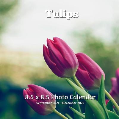 Book cover for Tulips 8.5 X 8.5 Calendar September 2021 -December 2022