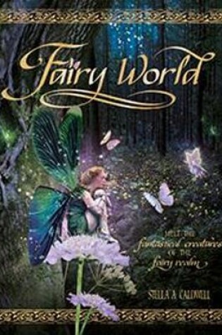 Cover of Fairy World