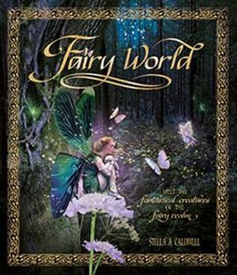 Book cover for Fairy World