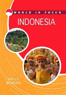 Book cover for Indonesia