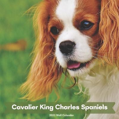 Book cover for Cavalier King Charles Spaniels 2021 Wall Calendar