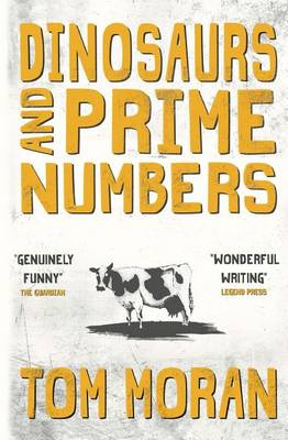 Book cover for Dinosaurs and Prime Numbers