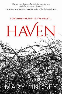 Book cover for Haven