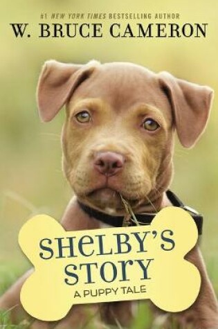 Cover of Shelby's Story