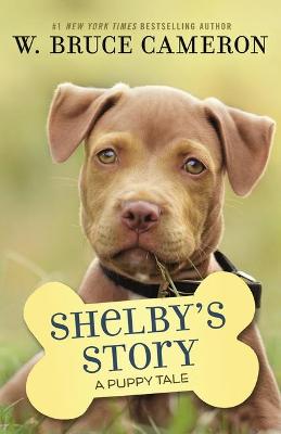 Book cover for Shelby's Story