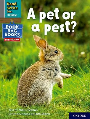 Book cover for Read Write Inc. Phonics: A pet or a pest? (Grey Set 7 NF Book Bag Book 4)