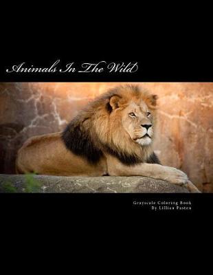 Book cover for Animals in the Wild