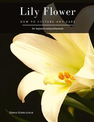 Book cover for Lily Flower