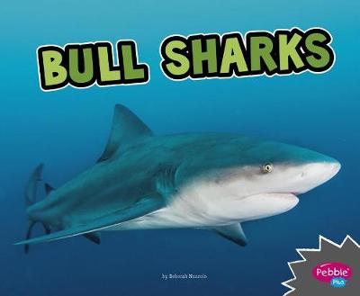 Book cover for All About Sharks Bull Sharks