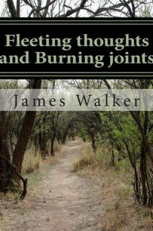 Cover of Fleeting Thoughts and Burning Joints