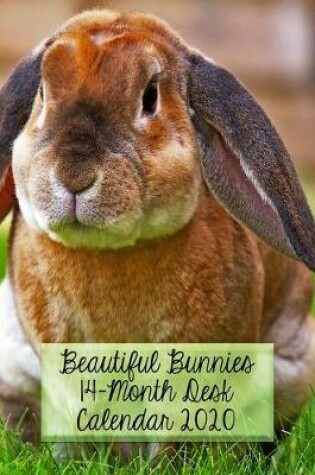 Cover of Beautiful Bunnies 14-Month Desk Calendar 2020