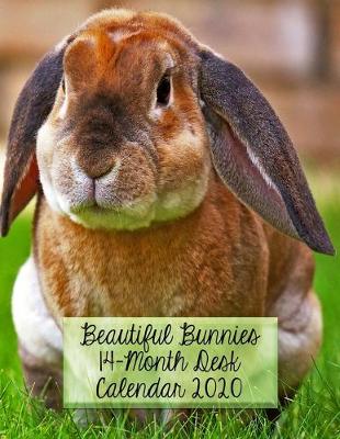 Book cover for Beautiful Bunnies 14-Month Desk Calendar 2020