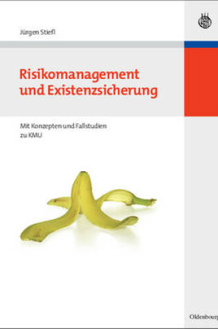 Cover of Risikomanagement Und Existenzsicherung