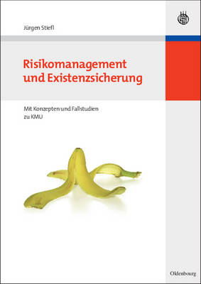 Book cover for Risikomanagement Und Existenzsicherung