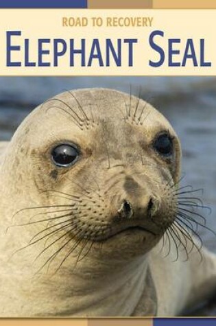 Cover of Elephant Seal