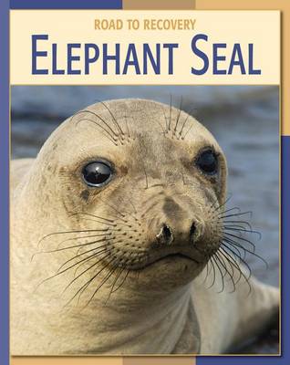 Book cover for Elephant Seal