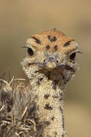 Cover of Ostrich Chick Portrait Journal