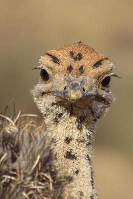 Book cover for Ostrich Chick Portrait Journal