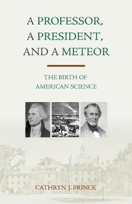 Book cover for A Professor, a President, and a Meteor