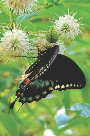 Cover of Black & Blue Butterfly Pretty Blank Lined Journal for daily thoughts notebook Lovely Lake Arrowhead Photograph