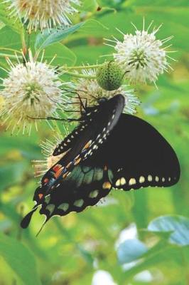 Cover of Black & Blue Butterfly Pretty Blank Lined Journal for daily thoughts notebook Lovely Lake Arrowhead Photograph