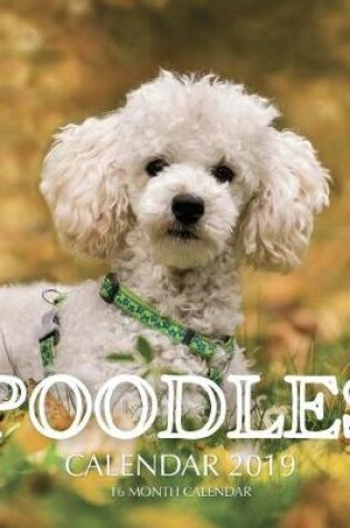 Cover of Poodles Calendar 2019