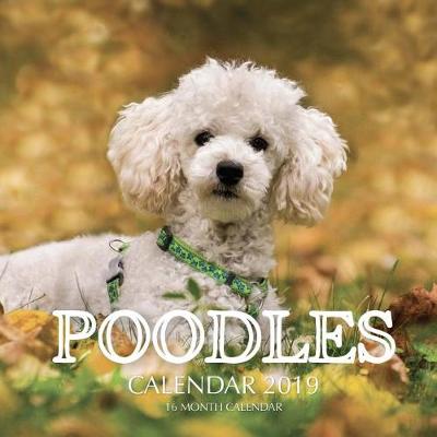 Book cover for Poodles Calendar 2019