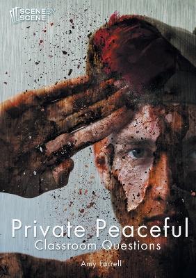 Book cover for Private Peaceful Classroom Questions