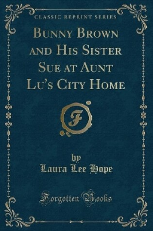 Cover of Bunny Brown and His Sister Sue at Aunt Lu's City Home (Classic Reprint)