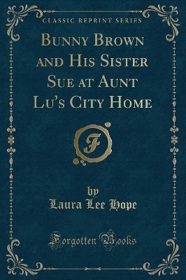 Book cover for Bunny Brown and His Sister Sue at Aunt Lu's City Home (Classic Reprint)