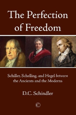 Cover of The Perfection of Freedom