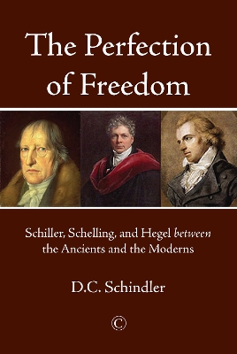 Book cover for The Perfection of Freedom