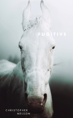 Book cover for Fugitive